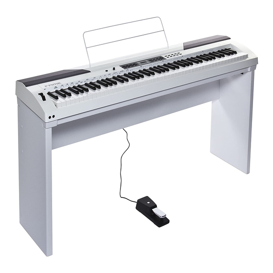 FAME DP-4000 Owner's Manual
