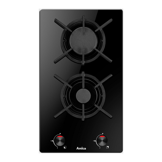 Amica PG310300B Instruction Manual
