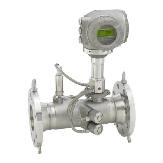 Endress+Hauser Proline Prosonic Flow G 300 Operating Instructions Manual