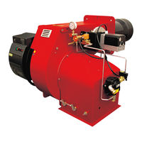 Ecoflam MAIOR P 600.1 PR Manual
