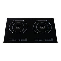 True Induction S2F2 User Manual