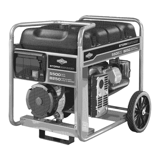 Briggs & Stratton 206883GS Operator's Manual