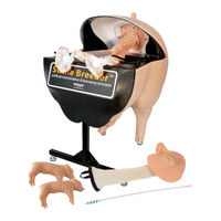 Realityworks Swine Breeder artificial insemination simulator Quick Start Manual