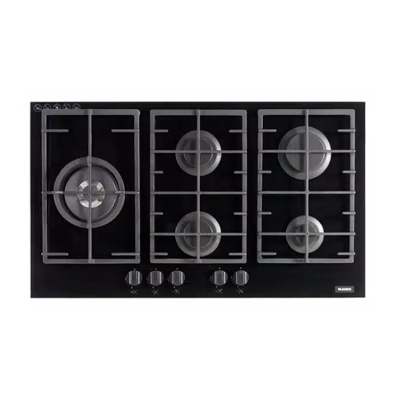 Blanco CGG302FFC Manuals