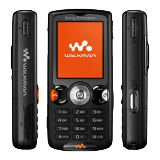 Sony Ericsson W810i Manual De L'utilisateur
