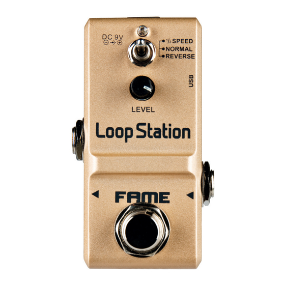 FAME Loop Station User Manual