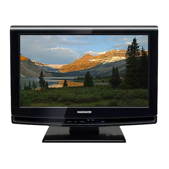 Magnavox 19MF330B - Owner's Manual
