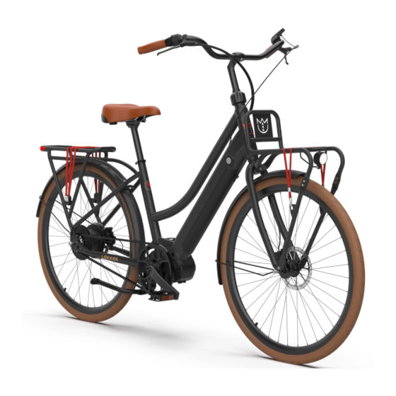 Lekker Bikes E-JORDAAN Manual