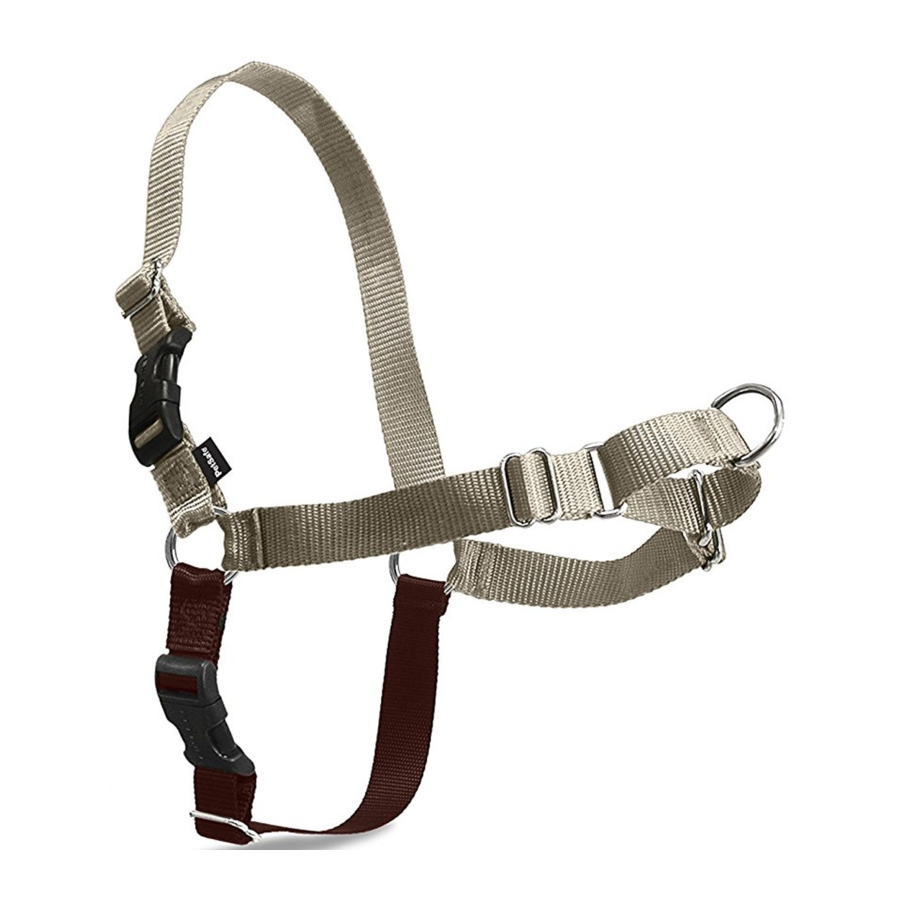 Petsafe Easy Walk Manual