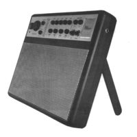 AXL ThinAMP DSP 10 Owner's Manual