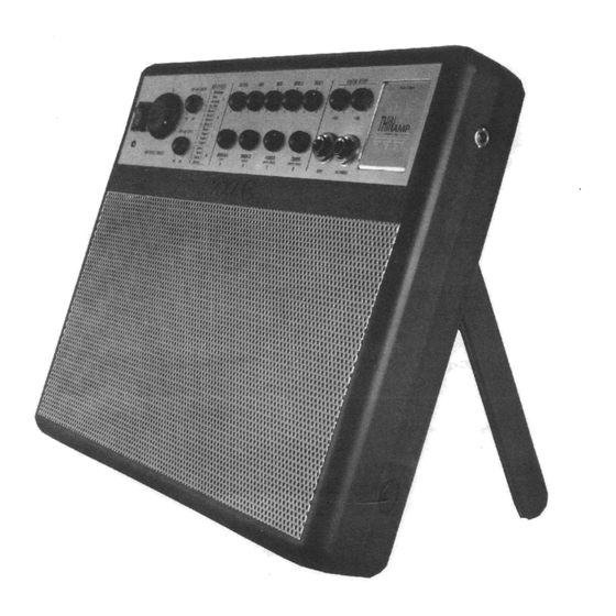 AXL ThinAMP DSP 10 Manuals
