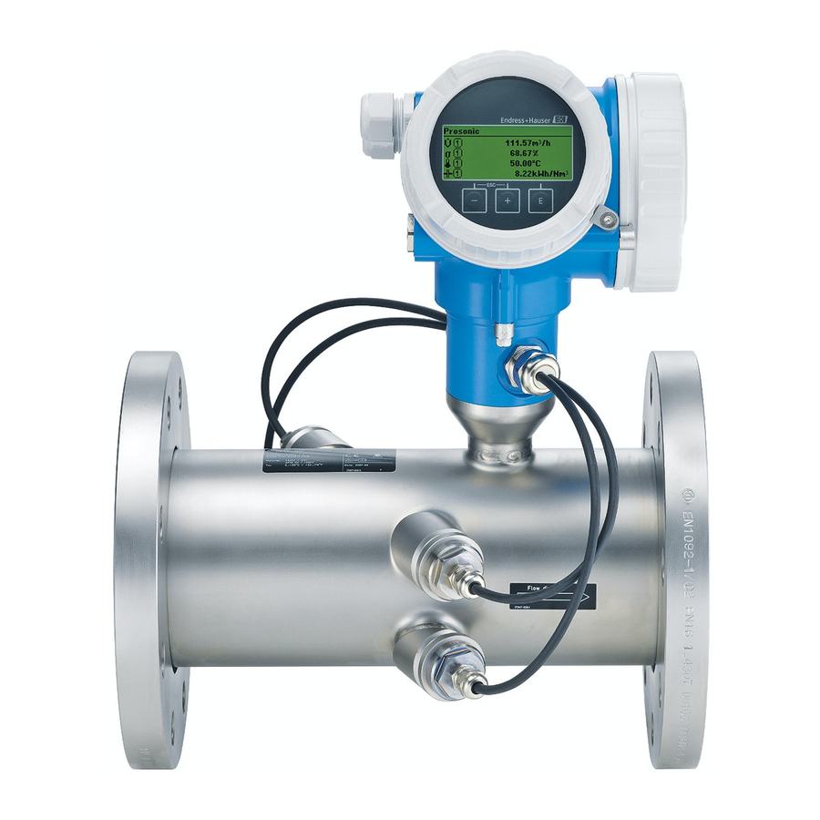 Endress+Hauser Proline Prosonic Flow B 200 Brief Operating Instructions