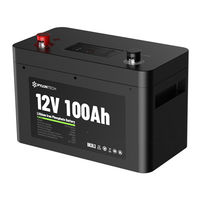 Pylontech RV12100CH User Manual