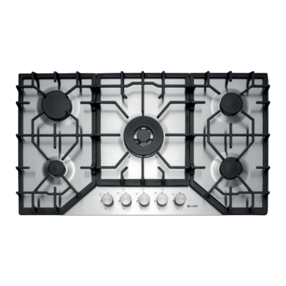 Caple C4061G Instruction Manual