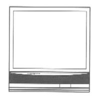 Panasonic PT-46G40 Operating Instructions Manual