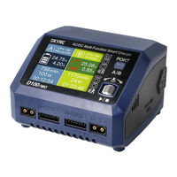 Skyrc SK-100199 Instruction Manual