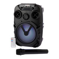 Singsation SPKA27 Quick Start Manual