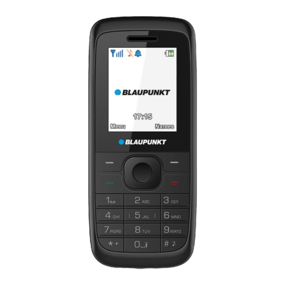 Blaupunkt FS 01 User Manual