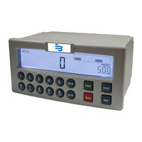 Badger Meter CB-30 User Manual