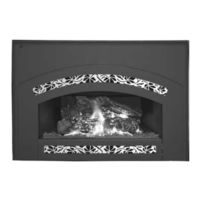 Lennox Hearth Products Merit Medina Installation And Operation Manual