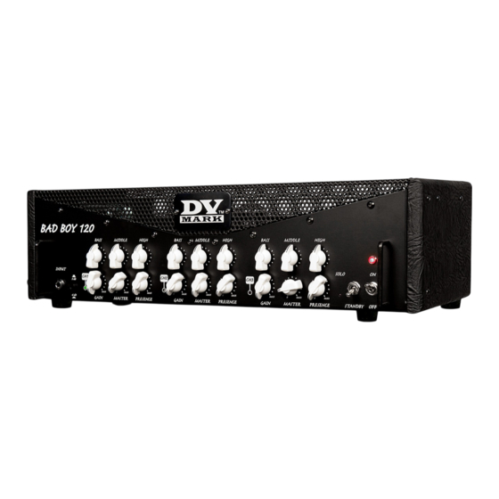 DV Mark Bad Boy 120 Manuals