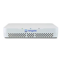 Netgate Netgate-4100 Manual