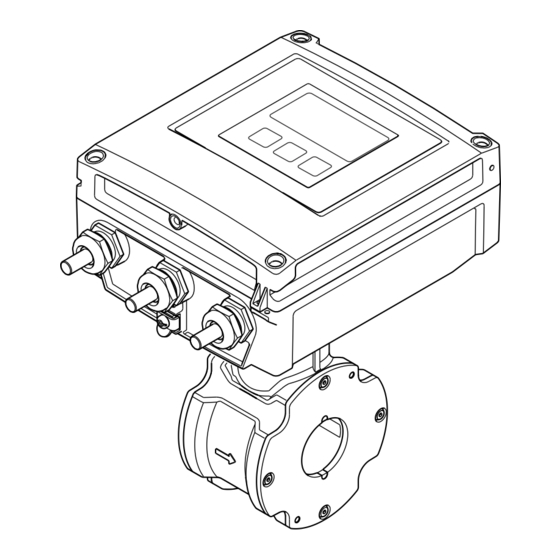 Endress+Hauser Proline Promag D 400 Brief Operating Instructions