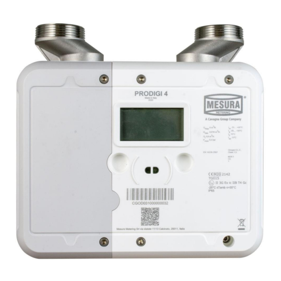 Cavagna group PRODIGI Manuals