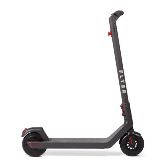 Flyer S533 Manual