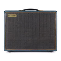 Blackstar CV30 User Manual