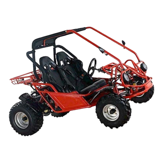 GOKARTS USA CN250 Dune Buggy Owner's Manual