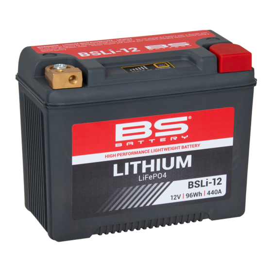 BS BATTERY LITHIUM LiFeP04 LiFePO4 Manuals