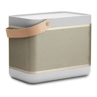 Bang & Olufsen Beolit 15 Quick Start Manual