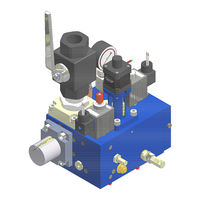 GMV NGV A3 Installation, Use And Maintenance Manual