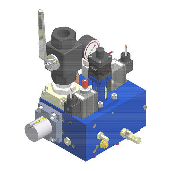 GMV NGV A3 Installation, Use And Maintenance Manual