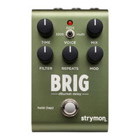 Strymon BRIG User Manual