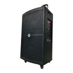 SINGTRONIC BT-1500DSP User Manual