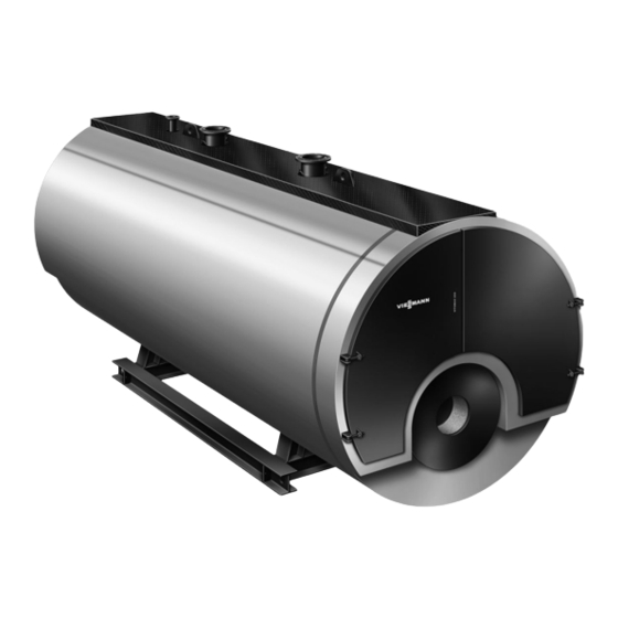 Viessmann Vitomax LW Operating And Service Instructions