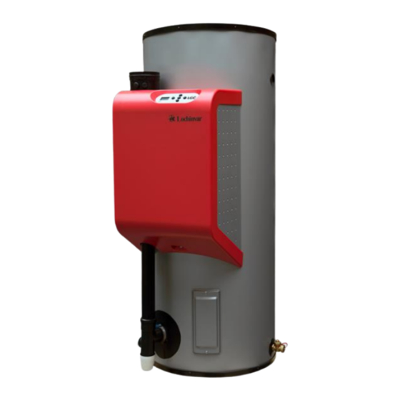 Lochinvar EcoSword LGC160-210 The Flue Manual