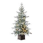 Home Accents Holiday TV46P3C59L00 Quick Start Manual