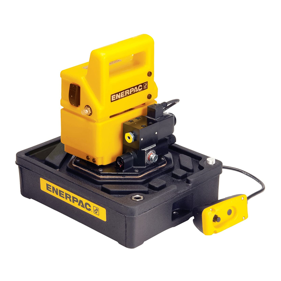 Enerpac PUD-1100B Instruction Sheet