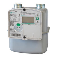 PIETRO FIORENTINI RSE / 2,4 LA GPRS Use And Maintenance Manual