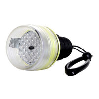 Fantasea LED 360 Light Operator's Manual