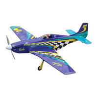 THE WORLD MODELS VOODOO MUSTANG EP Instruction Manual