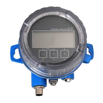 Endress+Hauser FHX50 Safety Instructions