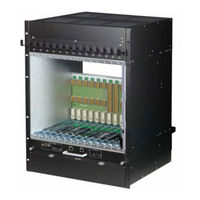 nvent SCHROFF 11990-19 Series User Manual