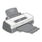 Printer Epson Stylus Photo 2000P Setup Manual