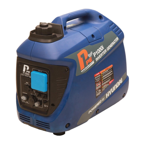P1PE P1000i User Manual
