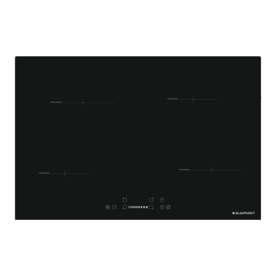 Blaupunkt 5II84253 Instruction Manual