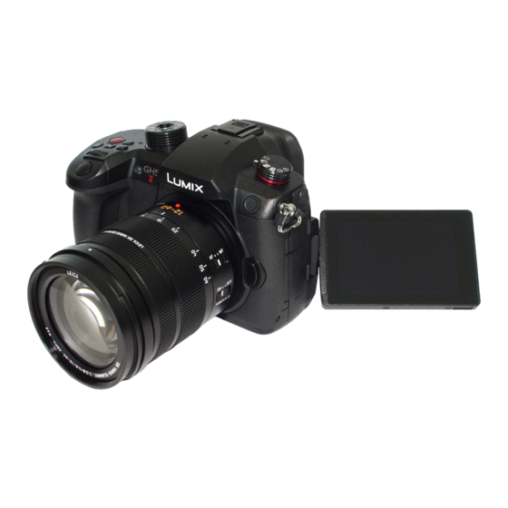 Panasonic Lumix GH5 2 Settings Manual
